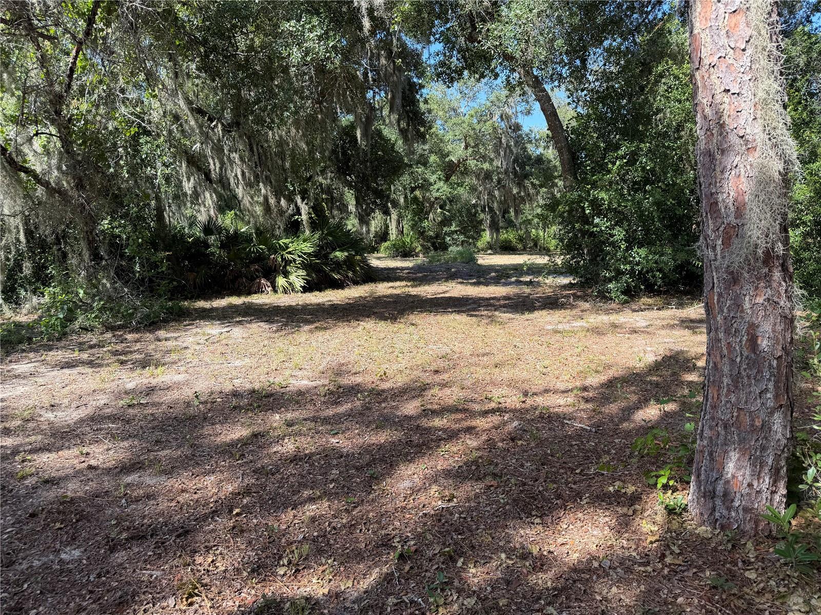 3113 Bright Lake Cir Property Photo 1