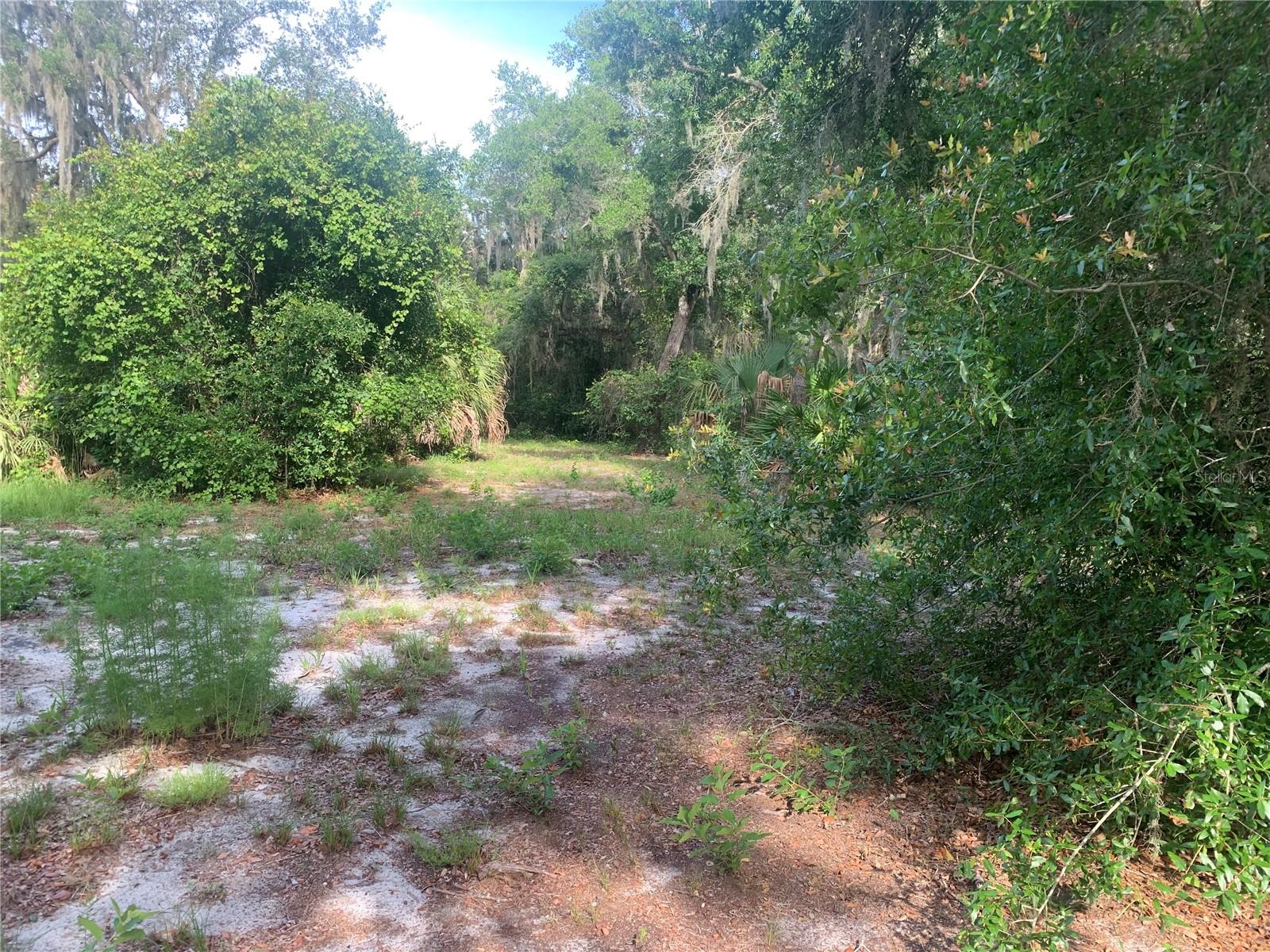 3113 Bright Lake Cir Property Photo 5