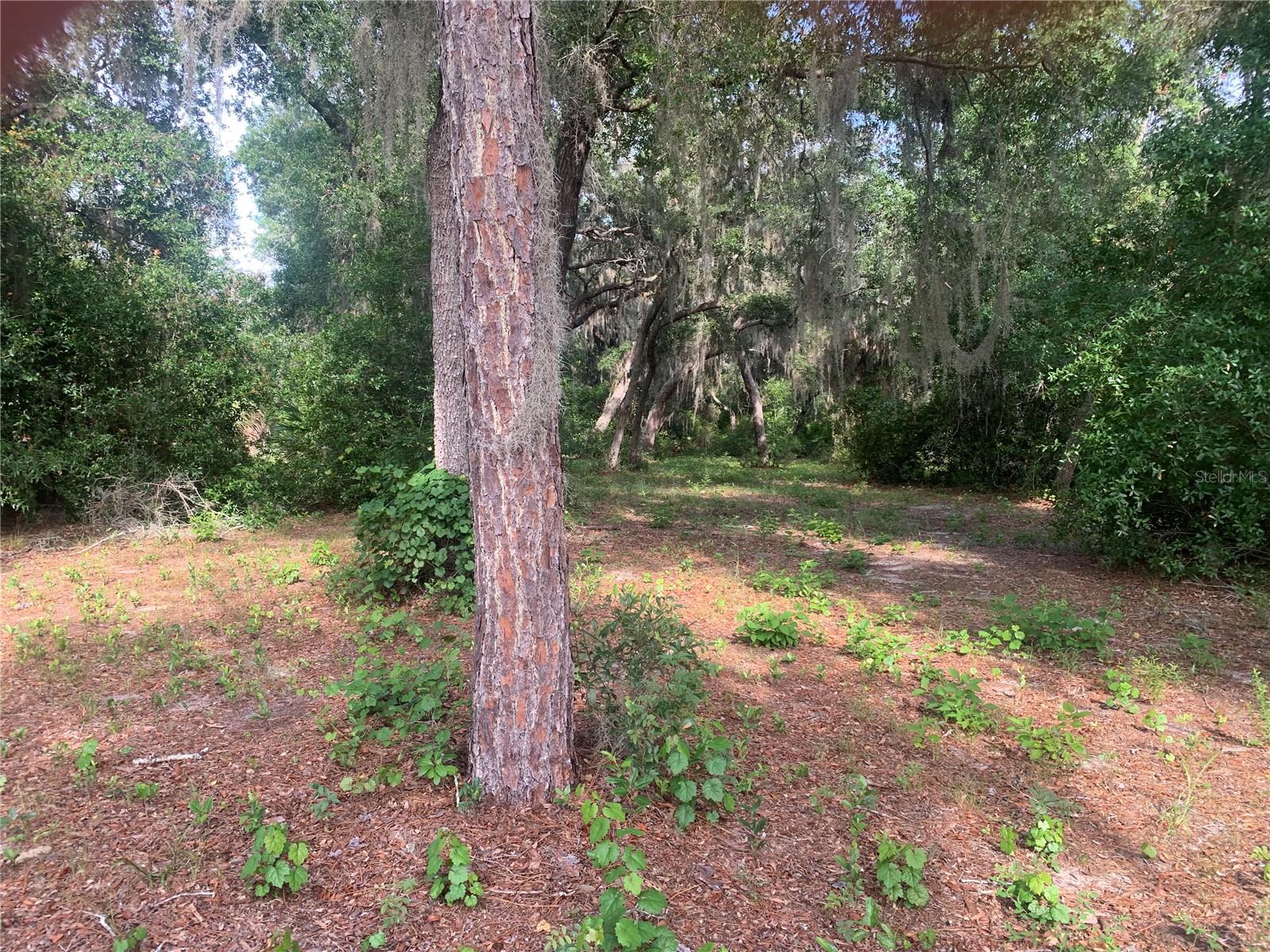 3113 Bright Lake Cir Property Photo 6