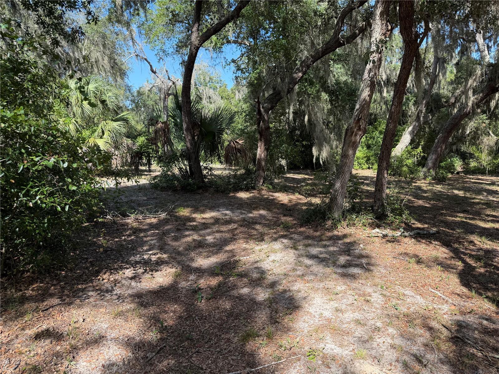 3113 Bright Lake Cir Property Photo 9