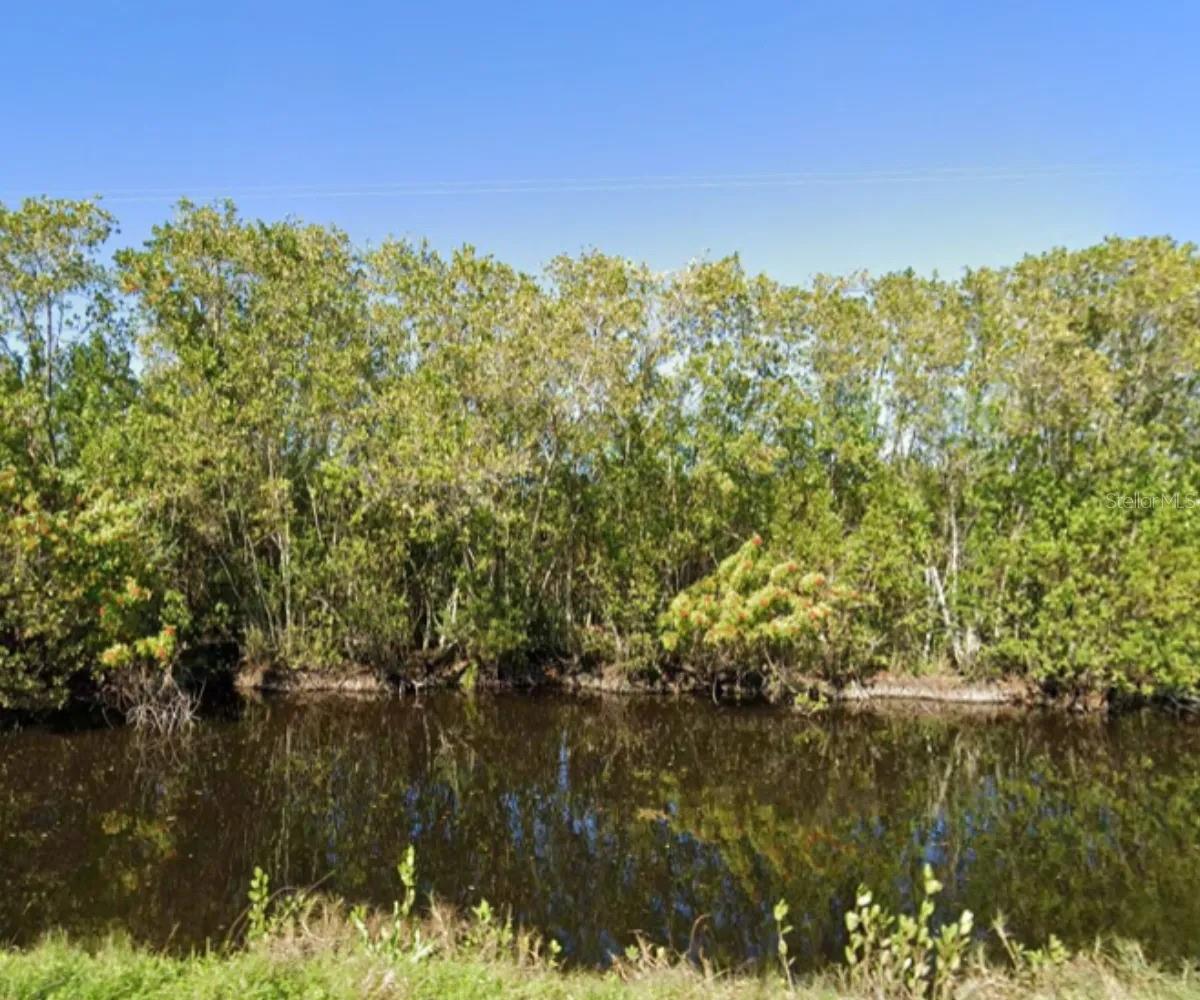 Tbd Pine Island Rd Property Photo 6