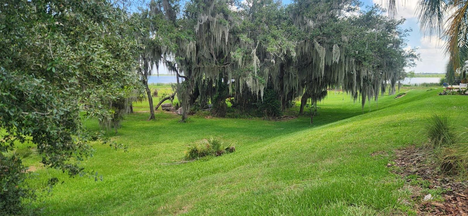 3316 Fish Hawk Dr Property Photo 6