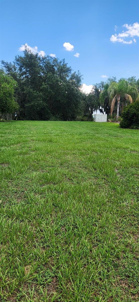 3316 Fish Hawk Dr Property Photo 24