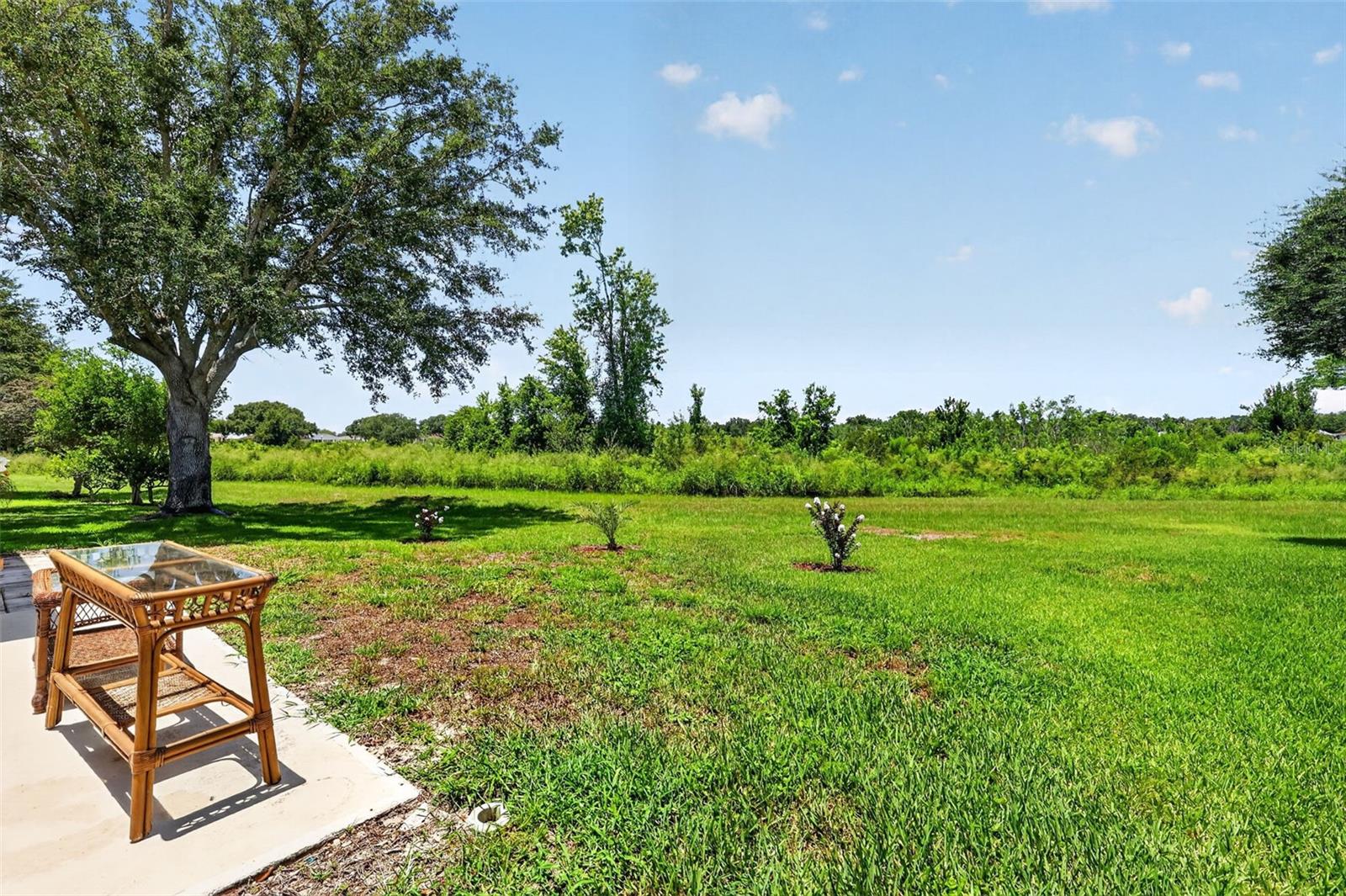 21725 King Richards Way Property Photo 39