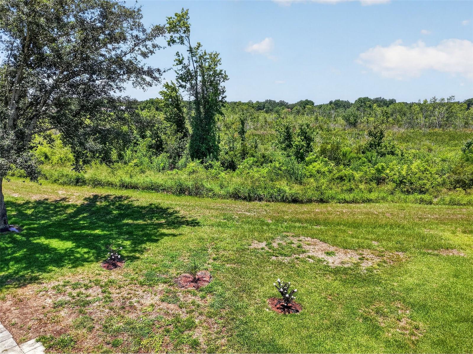 21725 King Richards Way Property Photo 43