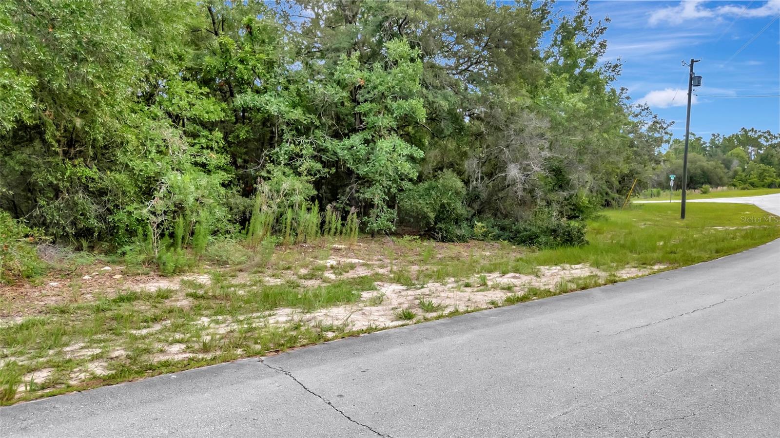 Willmington Dr Property Photo 9