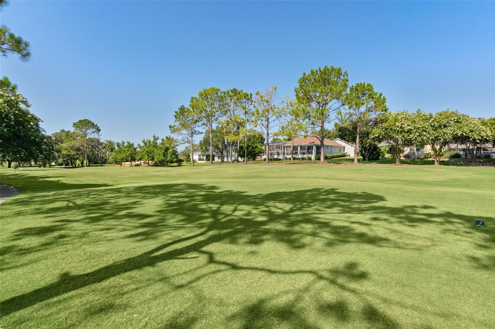 16846 Se 80th Bellavista Cir Property Photo 44