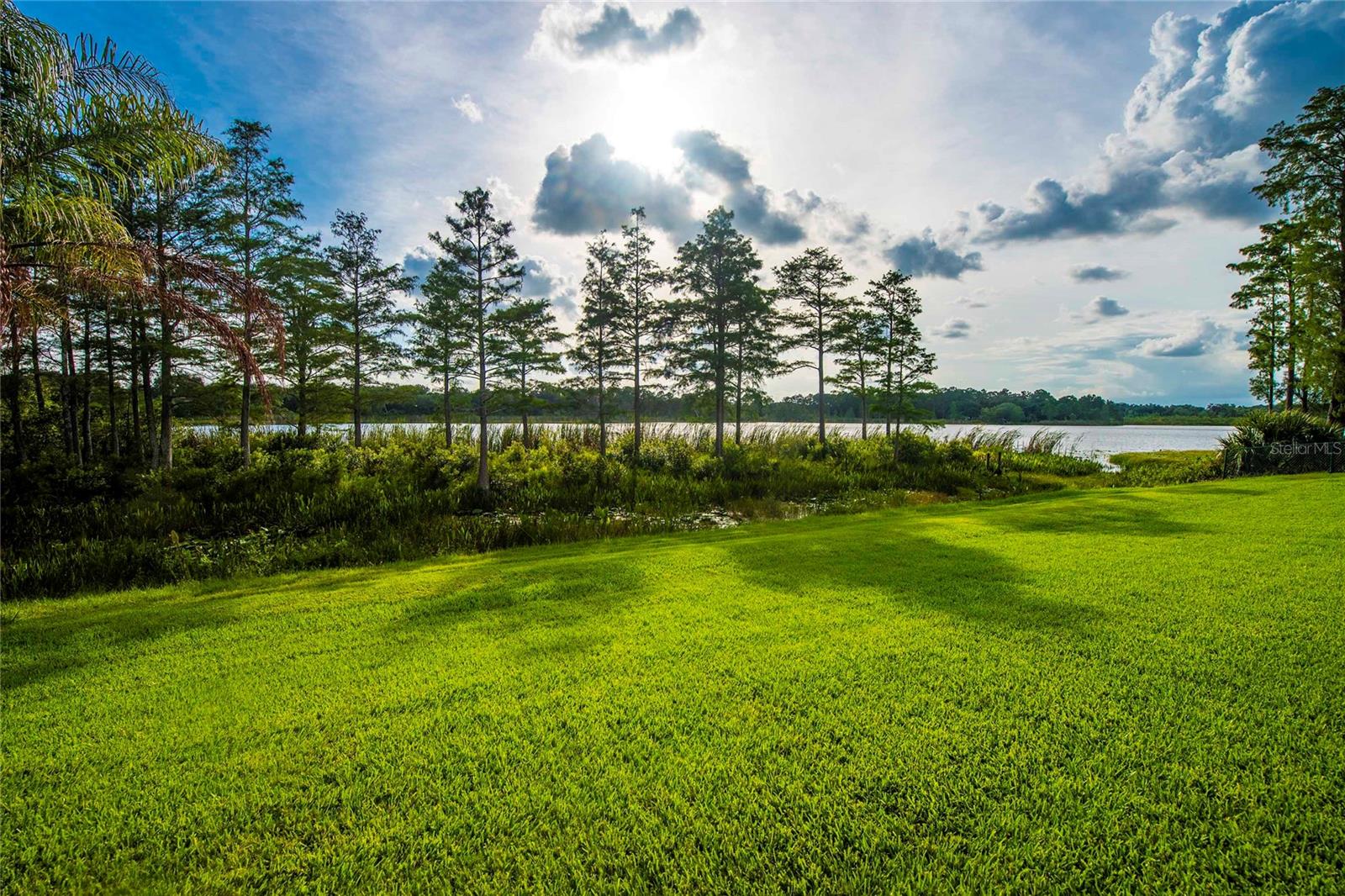 12853 Bellerive Dr Property Photo 12