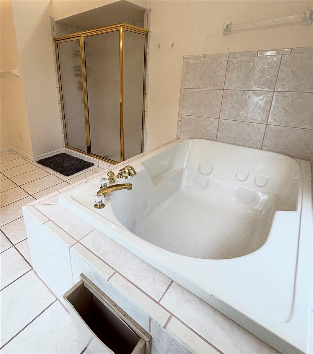 12853 Bellerive Dr Property Photo 37