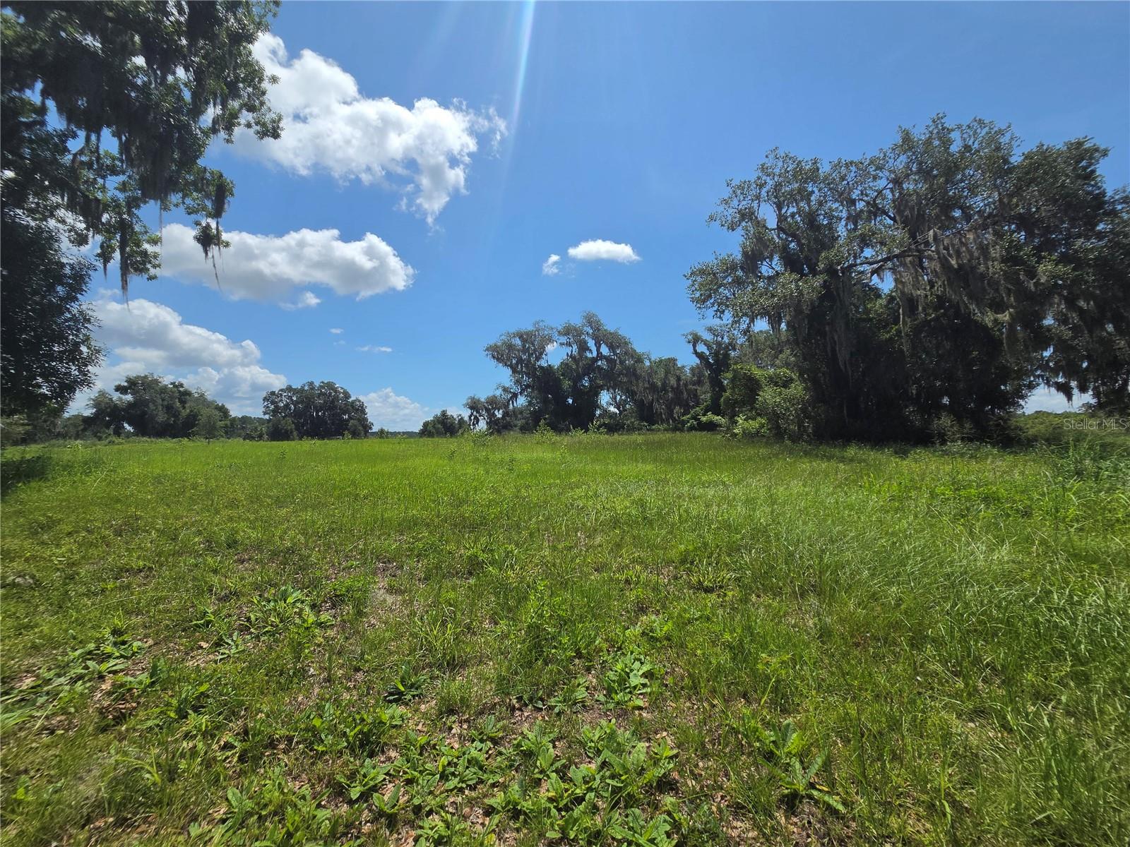 466 Long And Winding Rd Property Photo 1