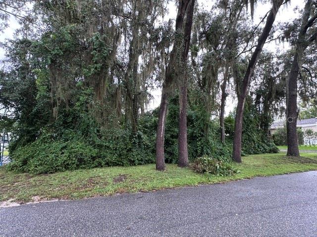 444 Quail St Property Photo 25