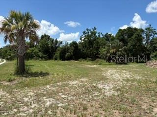 801 S Dixie Ave #a Property Photo 1