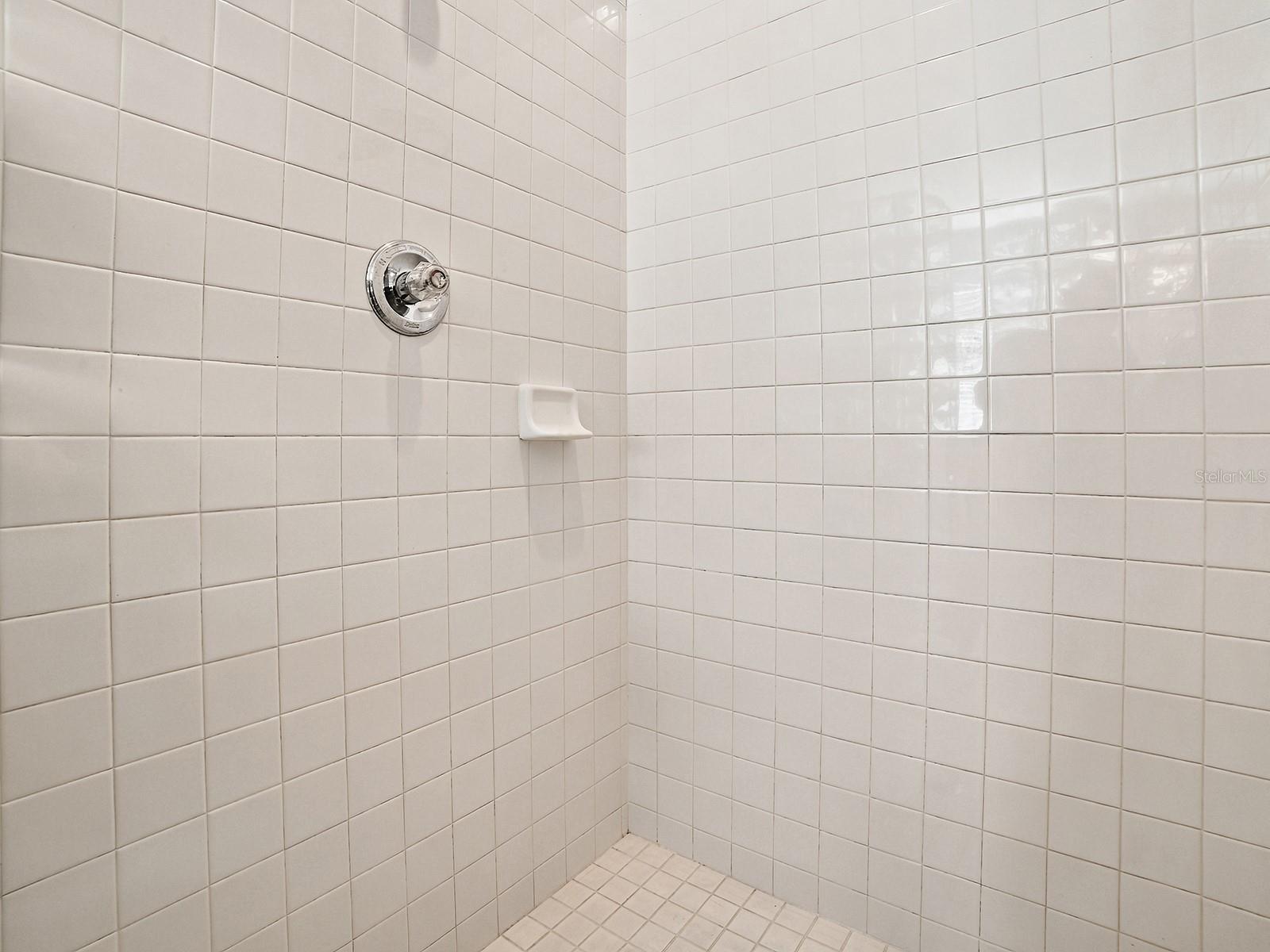 830 Old Oaks Ln Property Photo 37