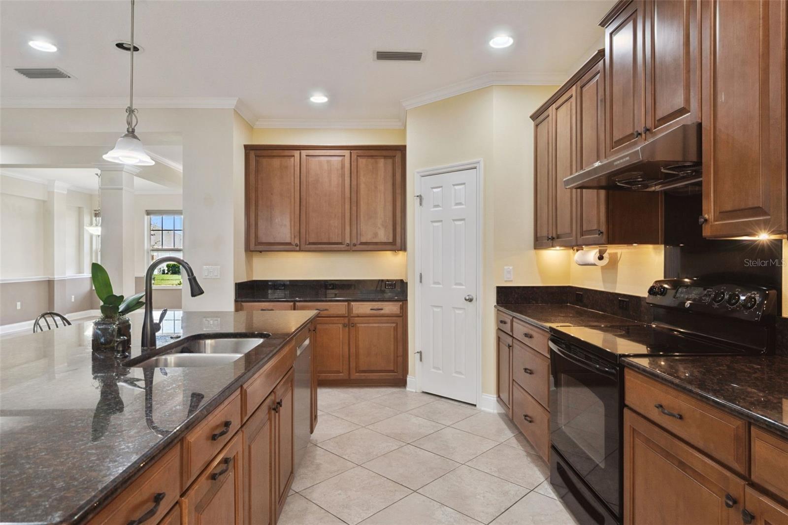 1041 Harmony Ln Property Photo 12