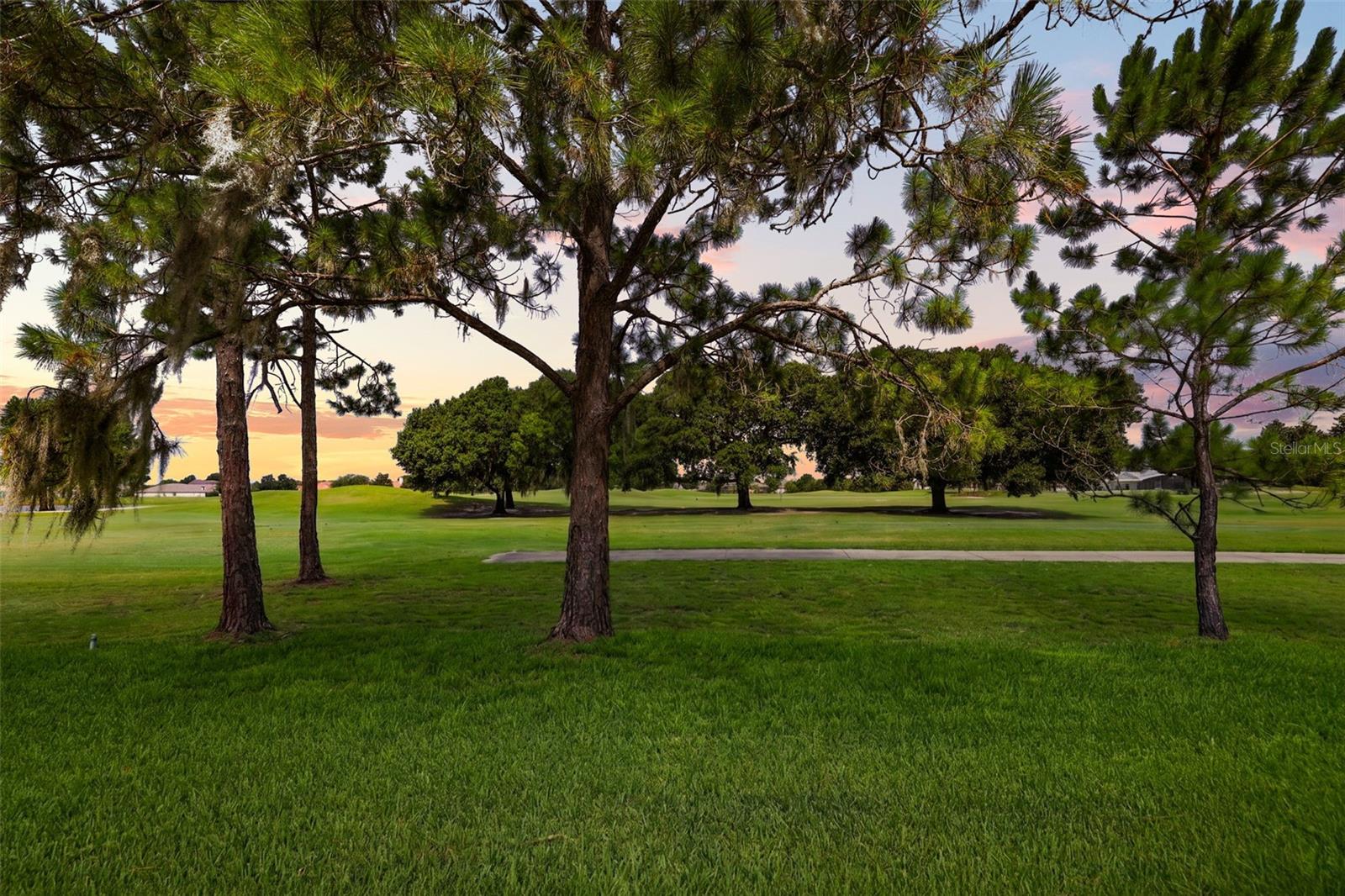 29925 Cypress Pointe Property Photo 4