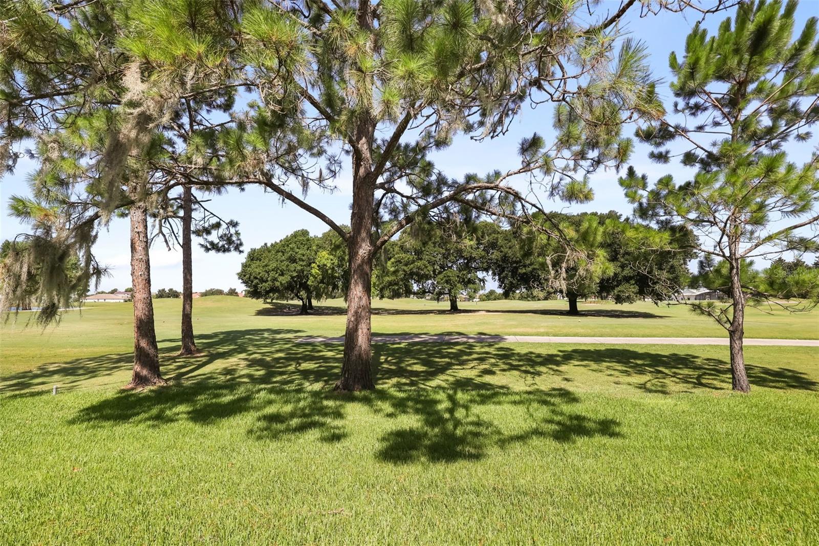 29925 Cypress Pointe Property Photo 31