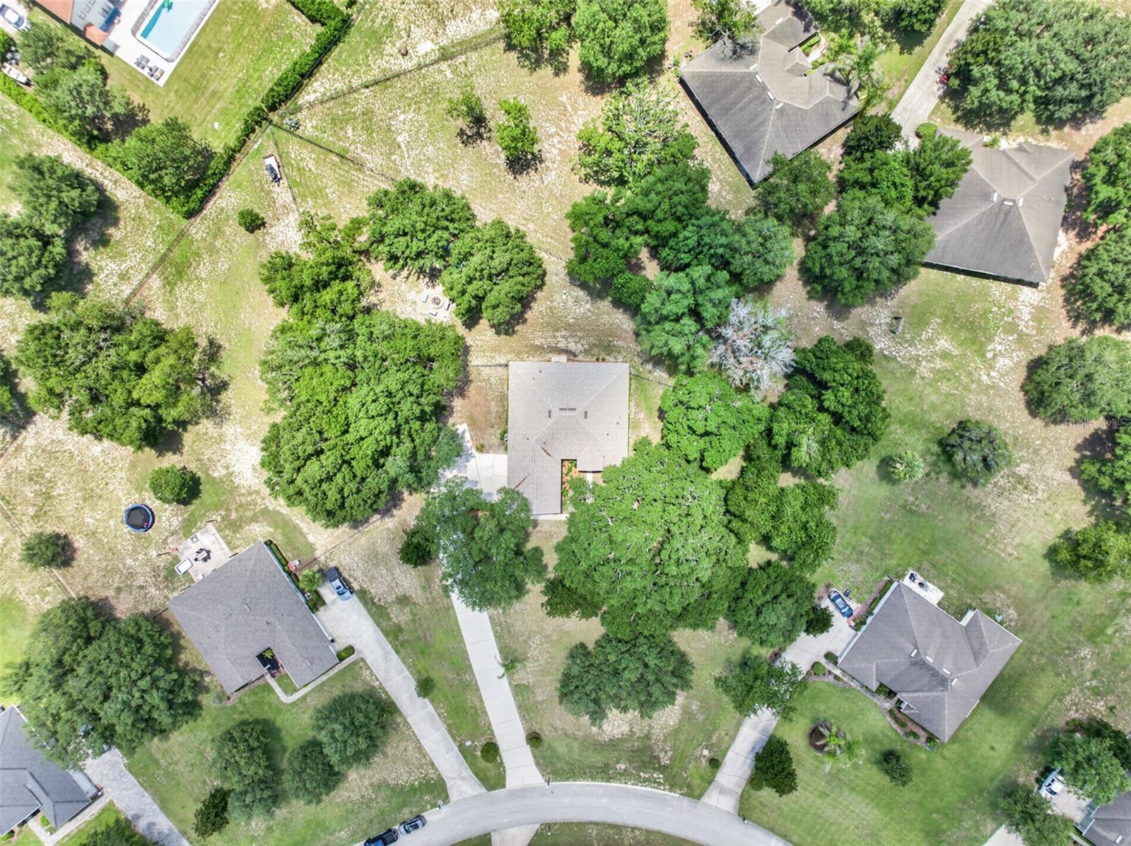 36628 Honey Tree Ct Property Photo 52