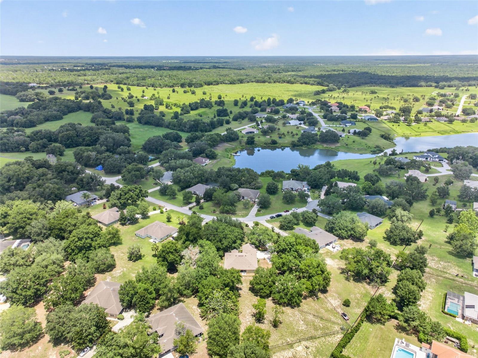 36628 Honey Tree Ct Property Photo 62