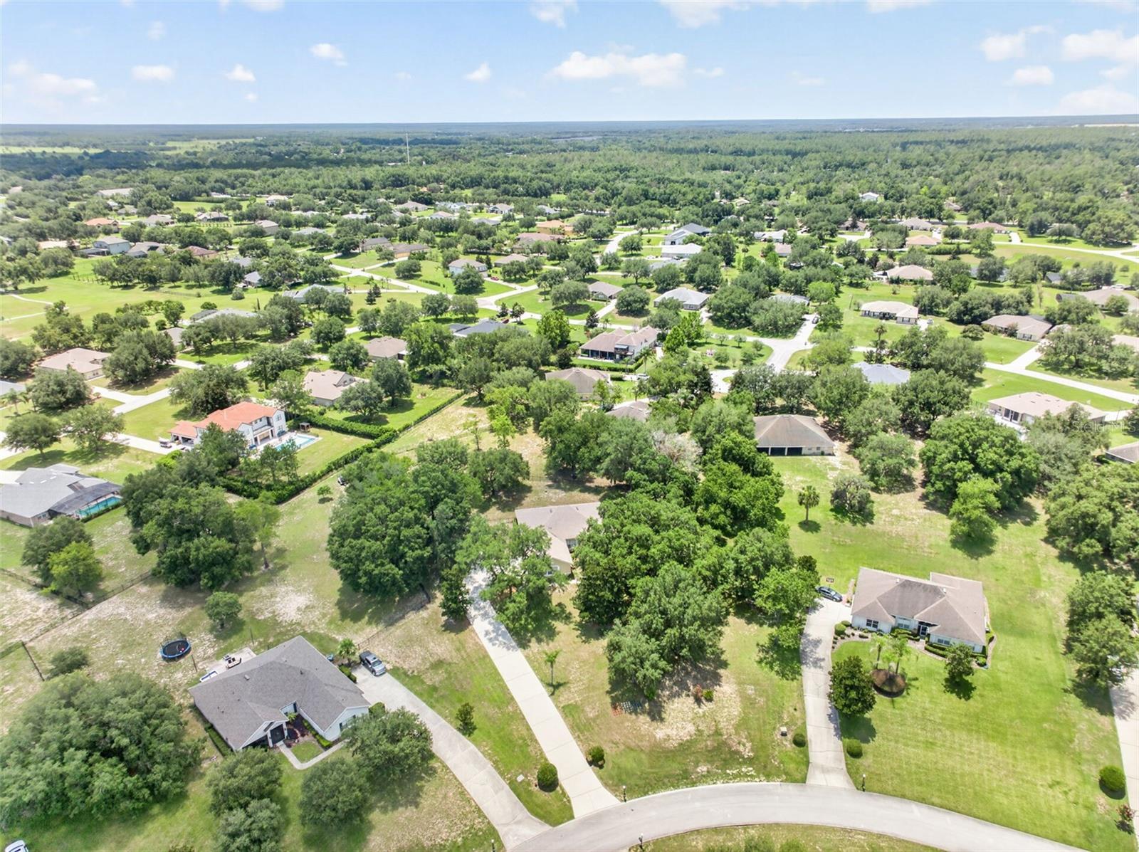 36628 Honey Tree Ct Property Photo 63