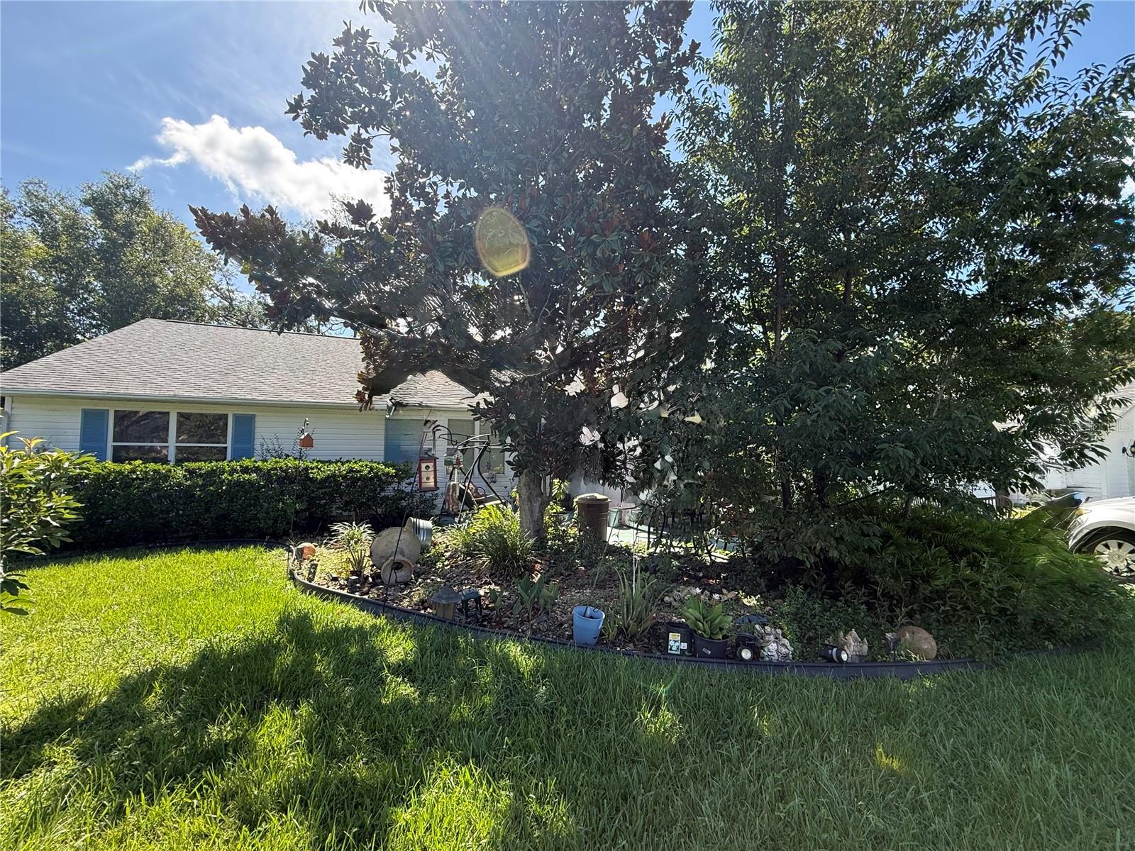 1117 Ben Hope Dr Property Photo 2