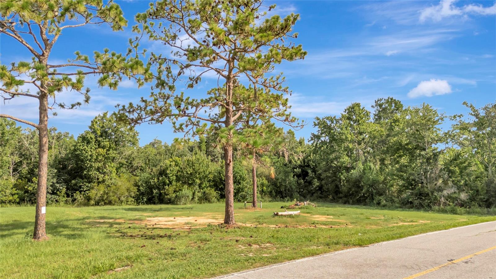 4541 County Road 561 Property Photo 4