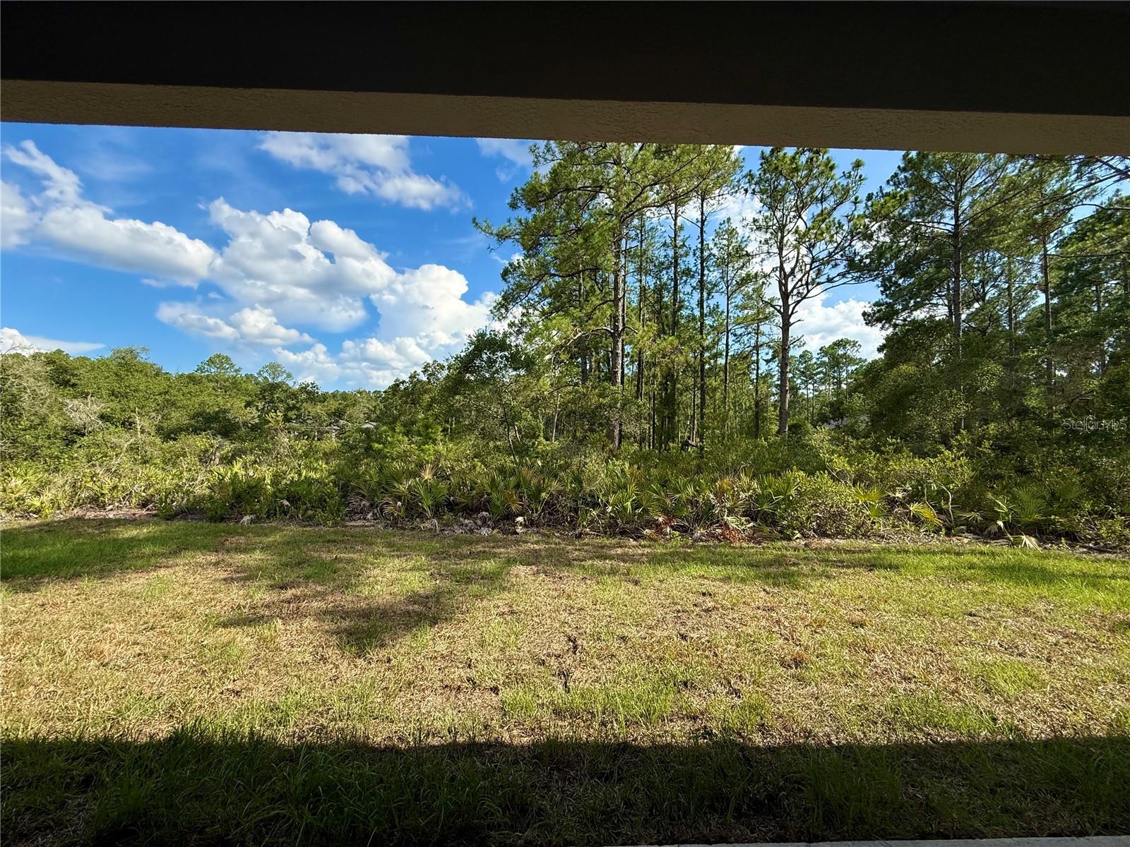 30280 W Bluebell Ave Property Photo 40