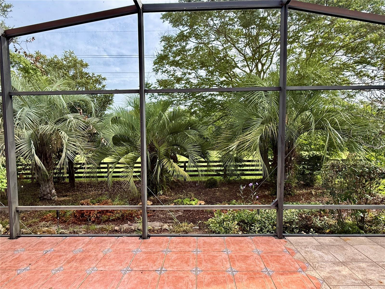 33236 Grand Cypress Way Property Photo 14
