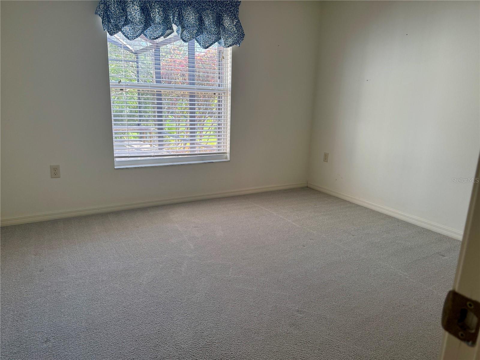 33236 Grand Cypress Way Property Photo 30