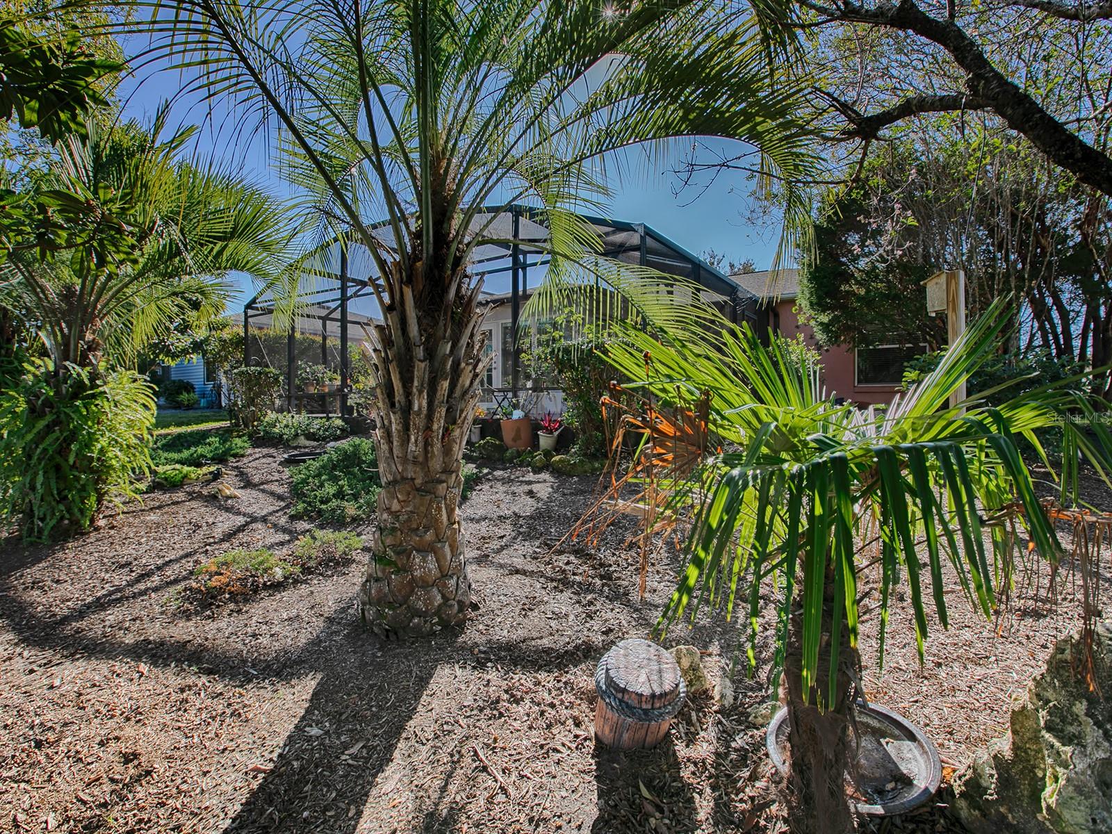 33236 Grand Cypress Way Property Photo 41