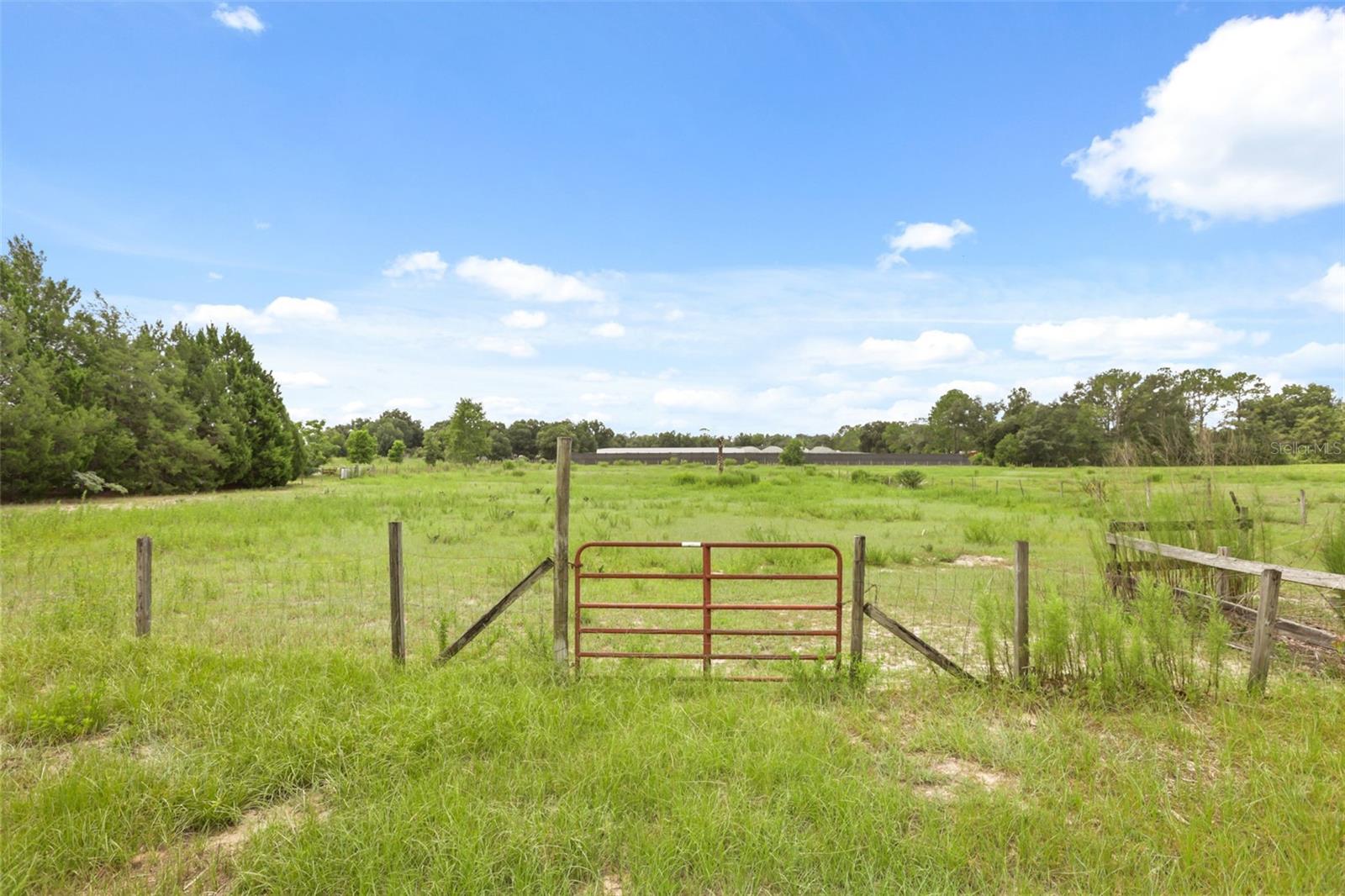 35819 Nova Ln Property Photo 24