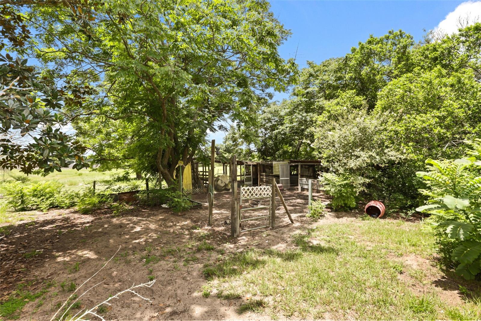 35819 Nova Ln Property Photo 29