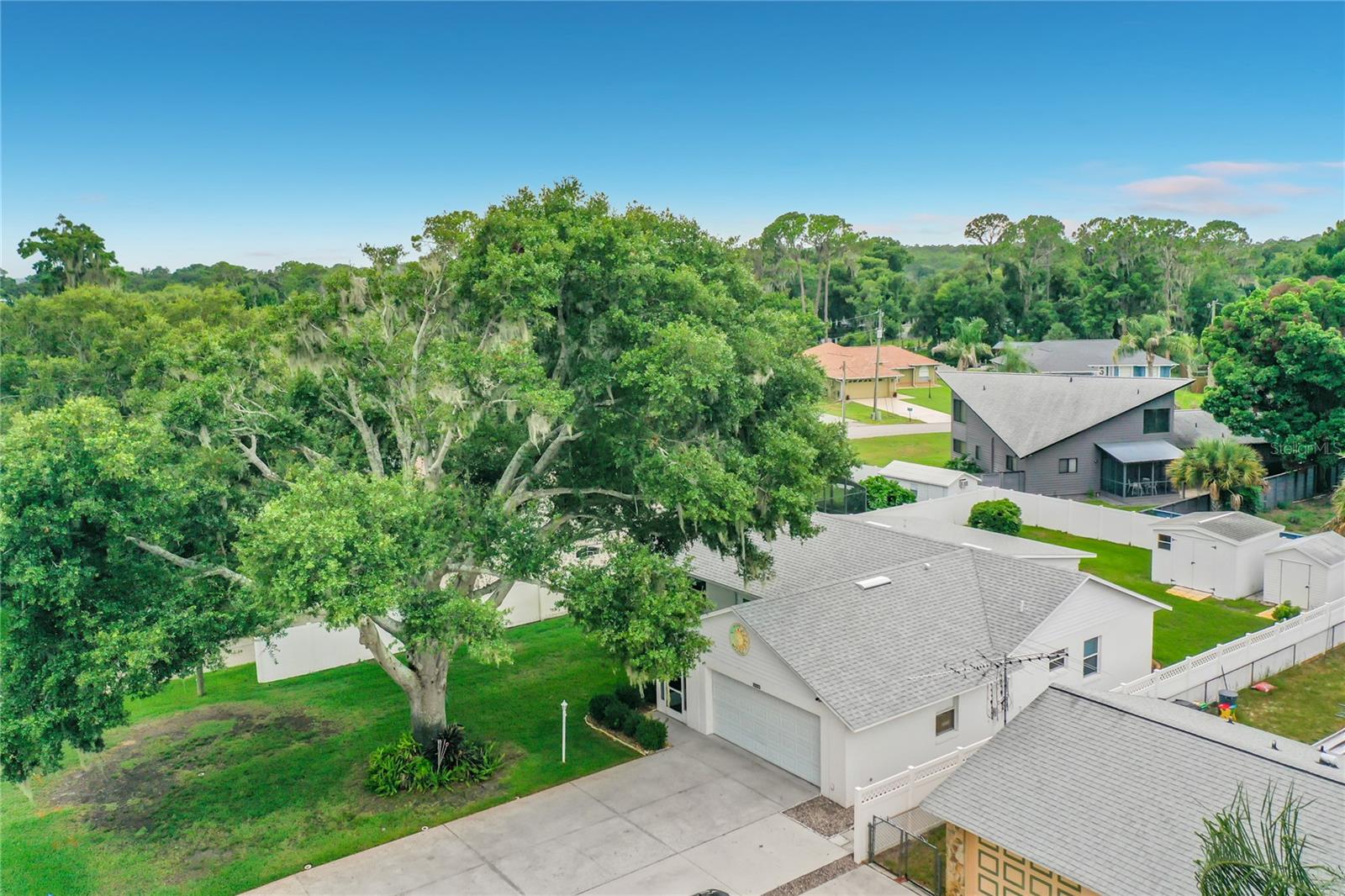 33909 Linda Ln Property Photo 2
