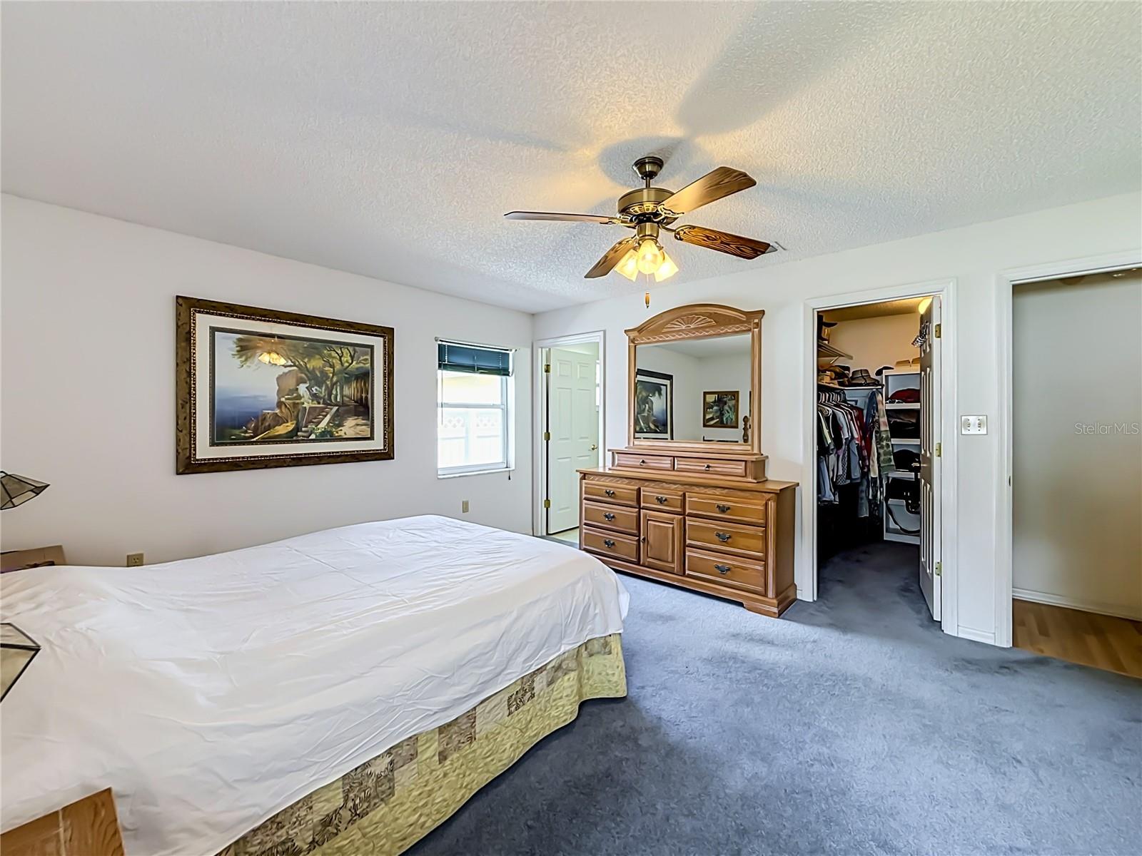 33909 Linda Ln Property Photo 39