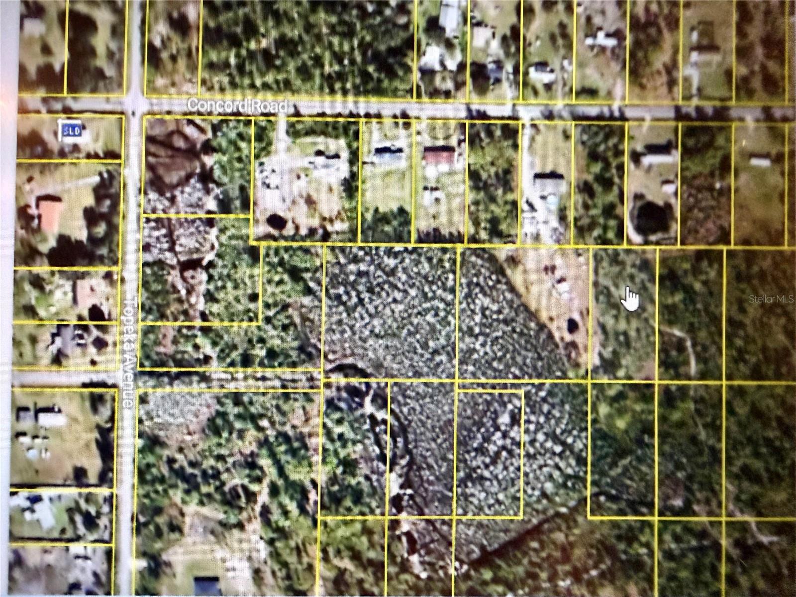 Concord Rd Property Photo 5