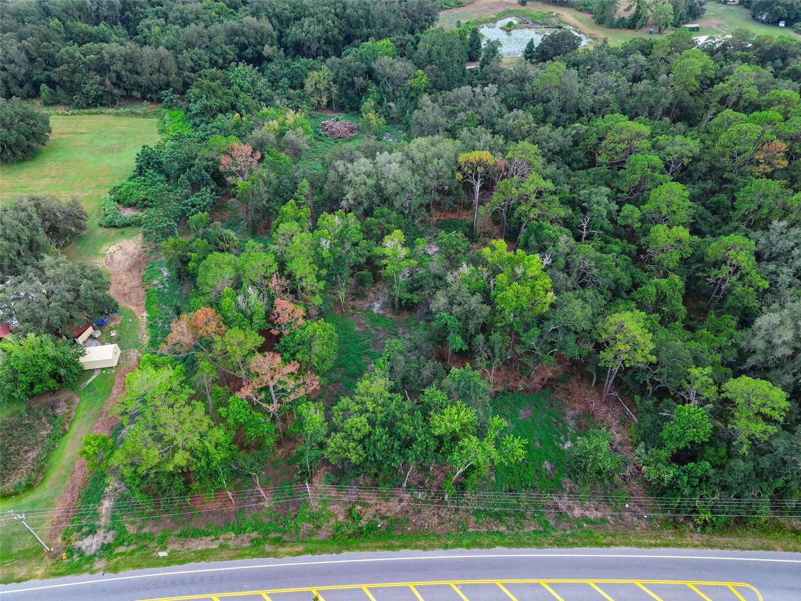 County Road 48 Property Photo 5