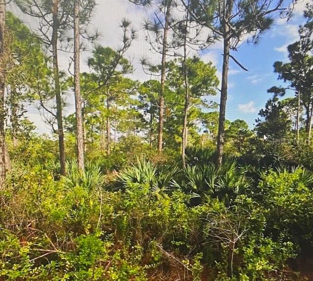 5550 TREE TOP TRL Property Photo 1