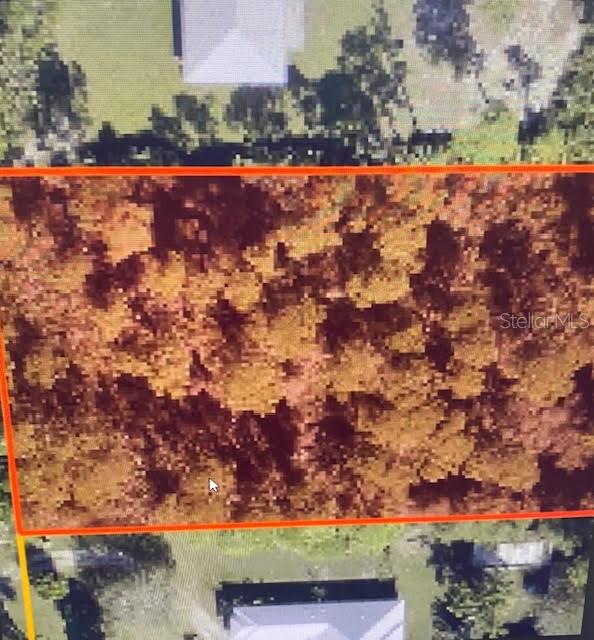 5550 Tree Top Trl Property Photo 3