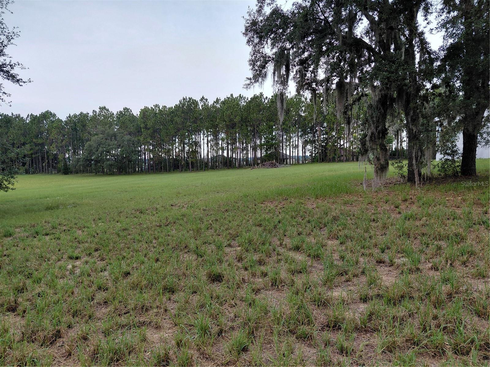 14240 Lost Lake Rd Property Photo 4