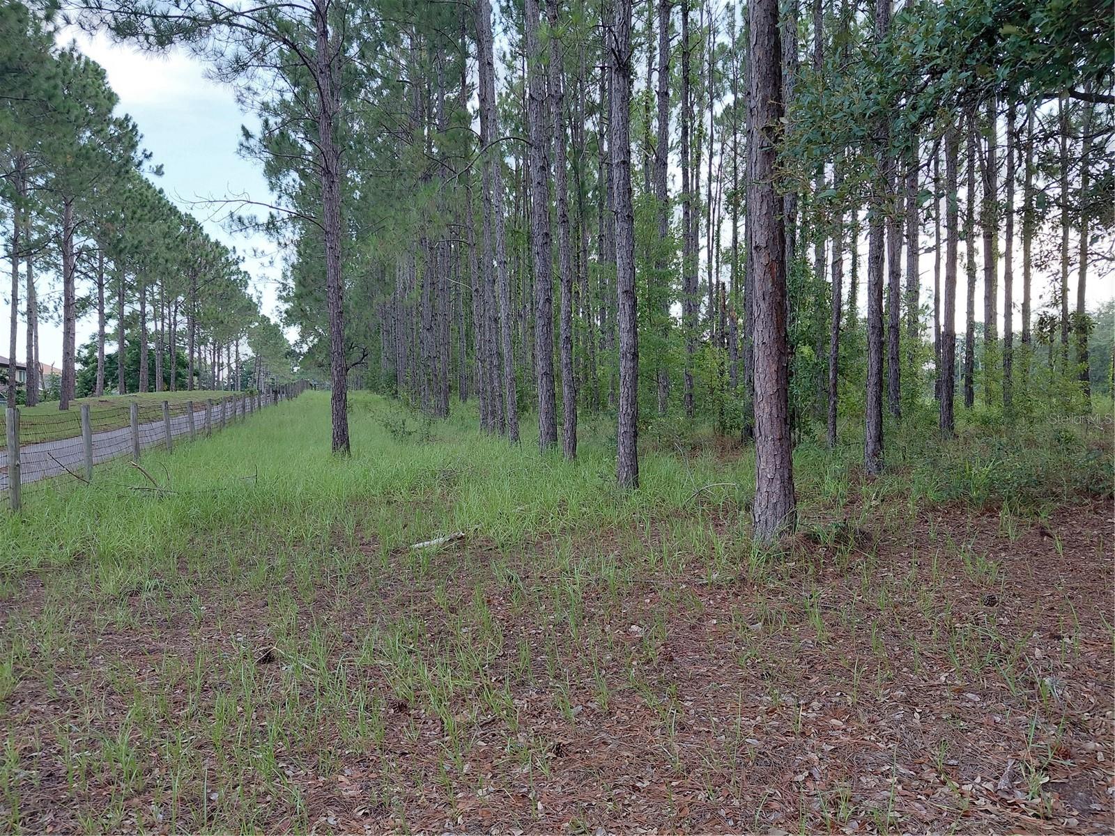 14240 Lost Lake Rd Property Photo 7