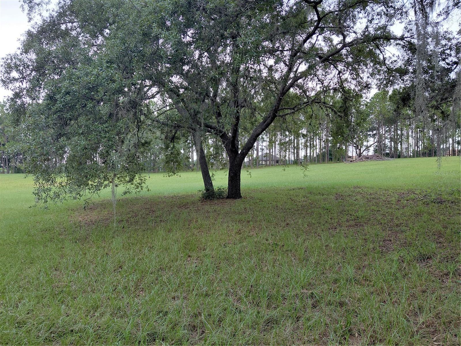 14240 Lost Lake Rd Property Photo 11