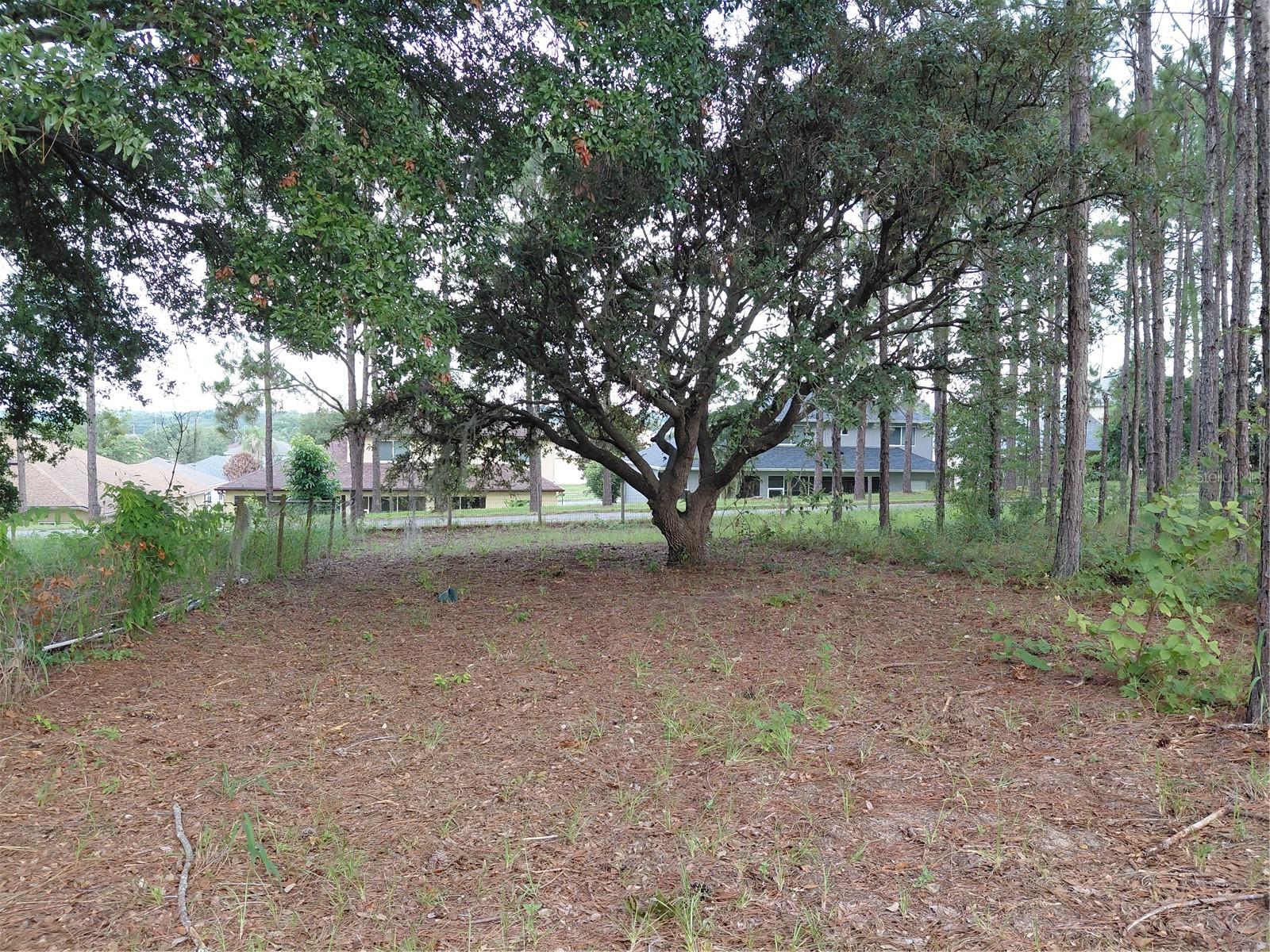 14240 Lost Lake Rd Property Photo 12