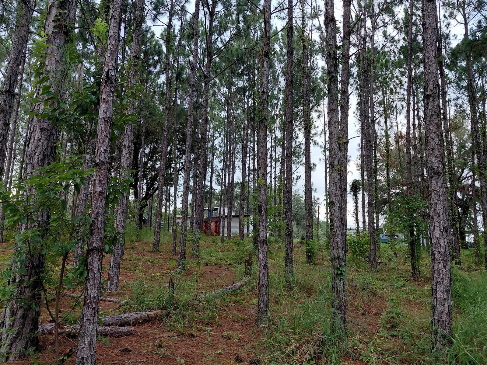 14240 Lost Lake Rd Property Photo 15
