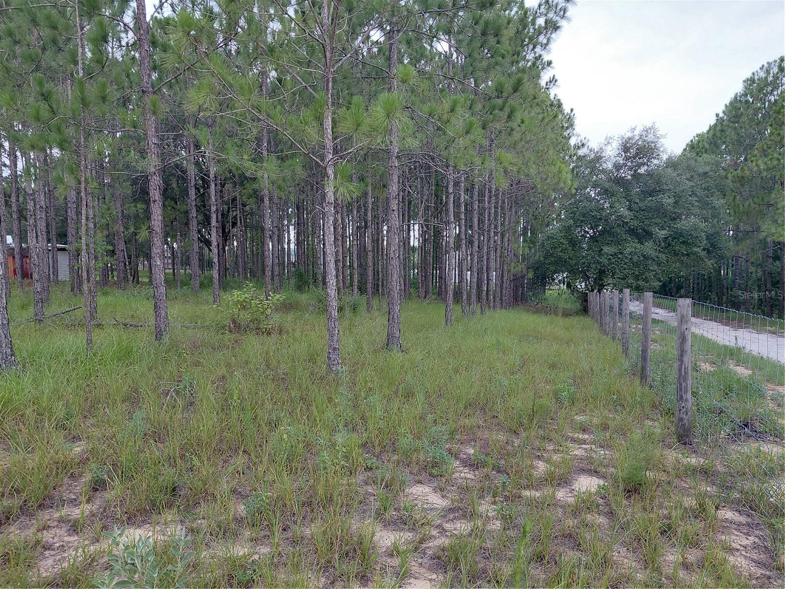 14240 Lost Lake Rd Property Photo 16