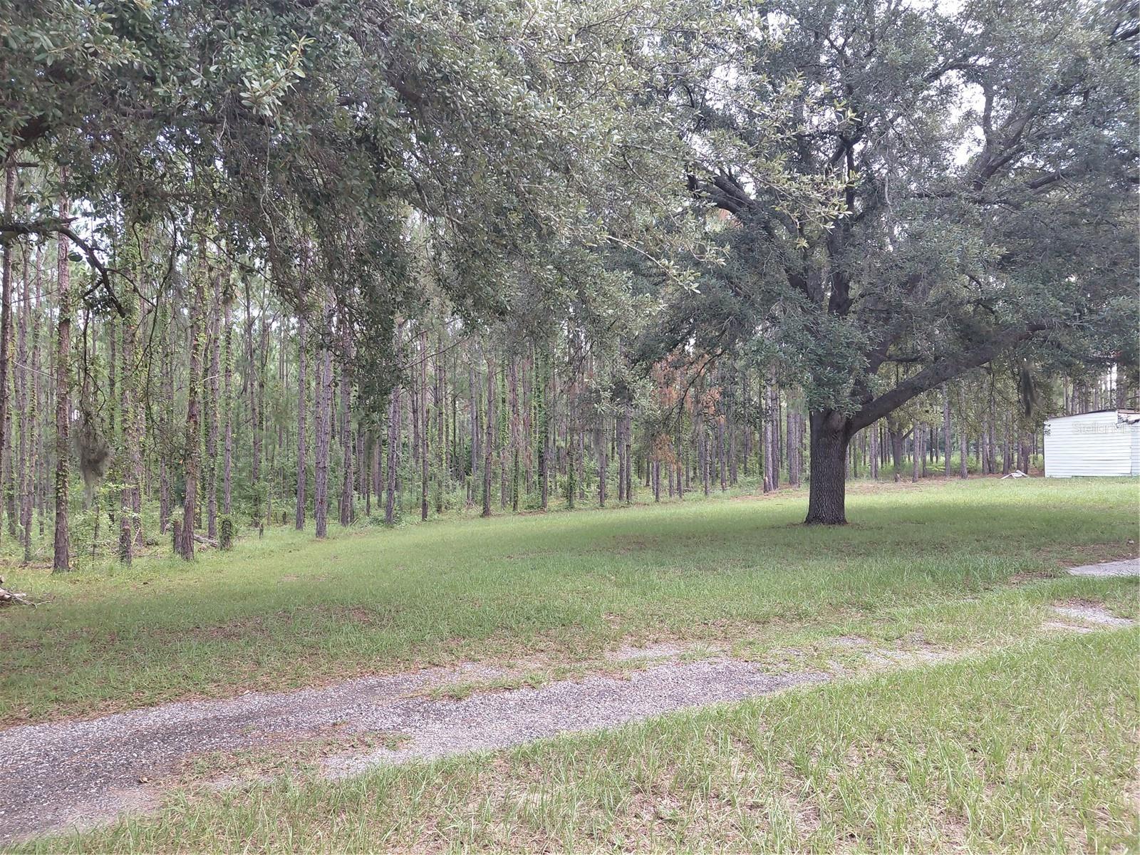 14240 Lost Lake Rd Property Photo 17