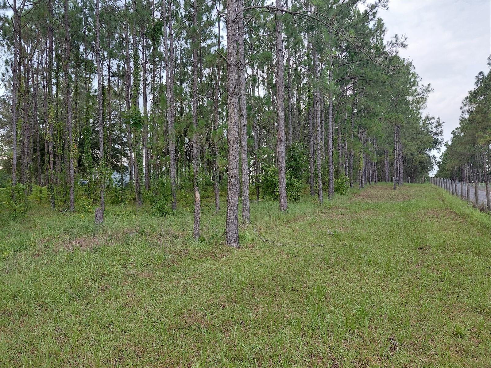 14240 Lost Lake Rd Property Photo 20