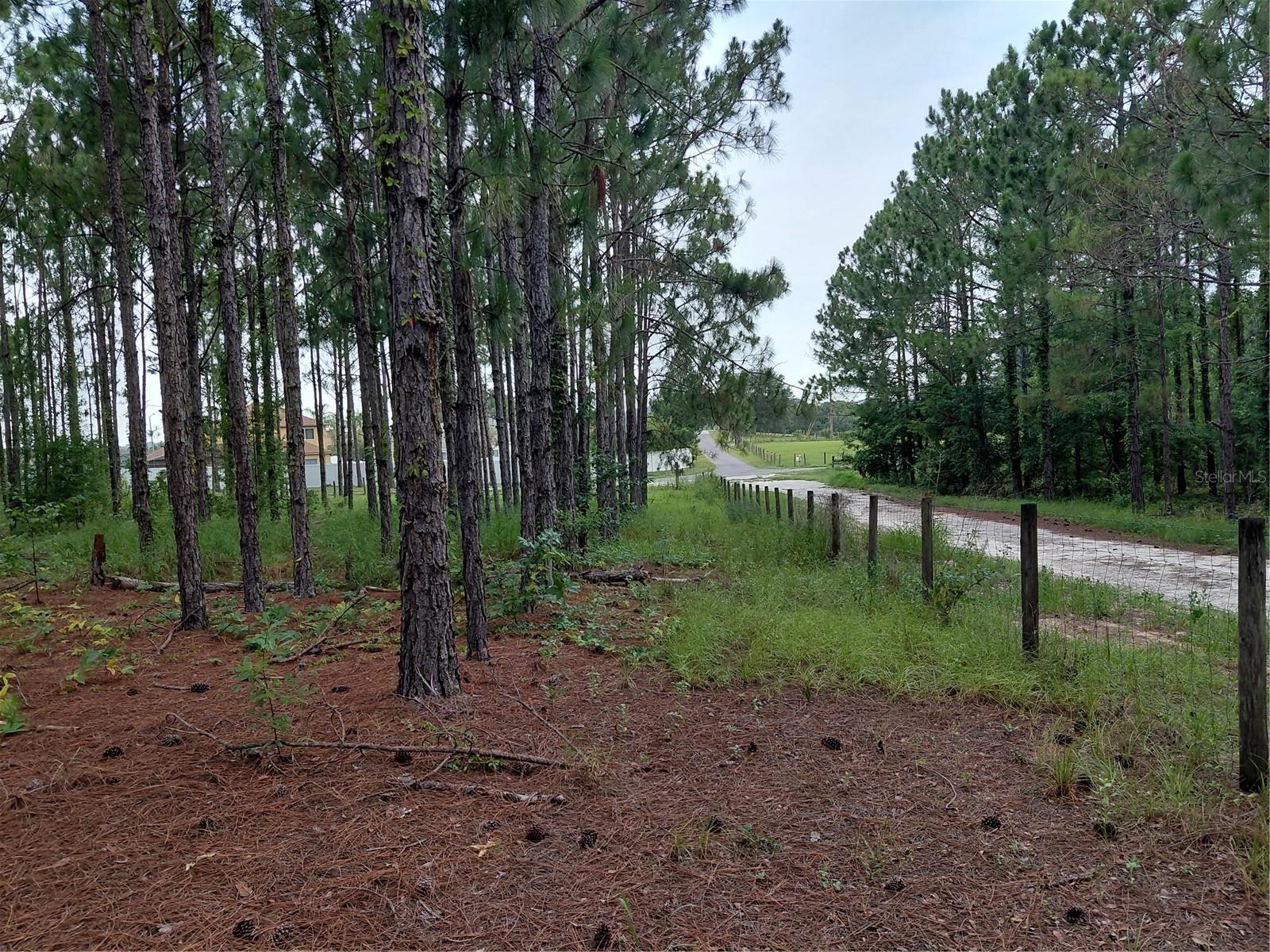 14240 Lost Lake Rd Property Photo 21
