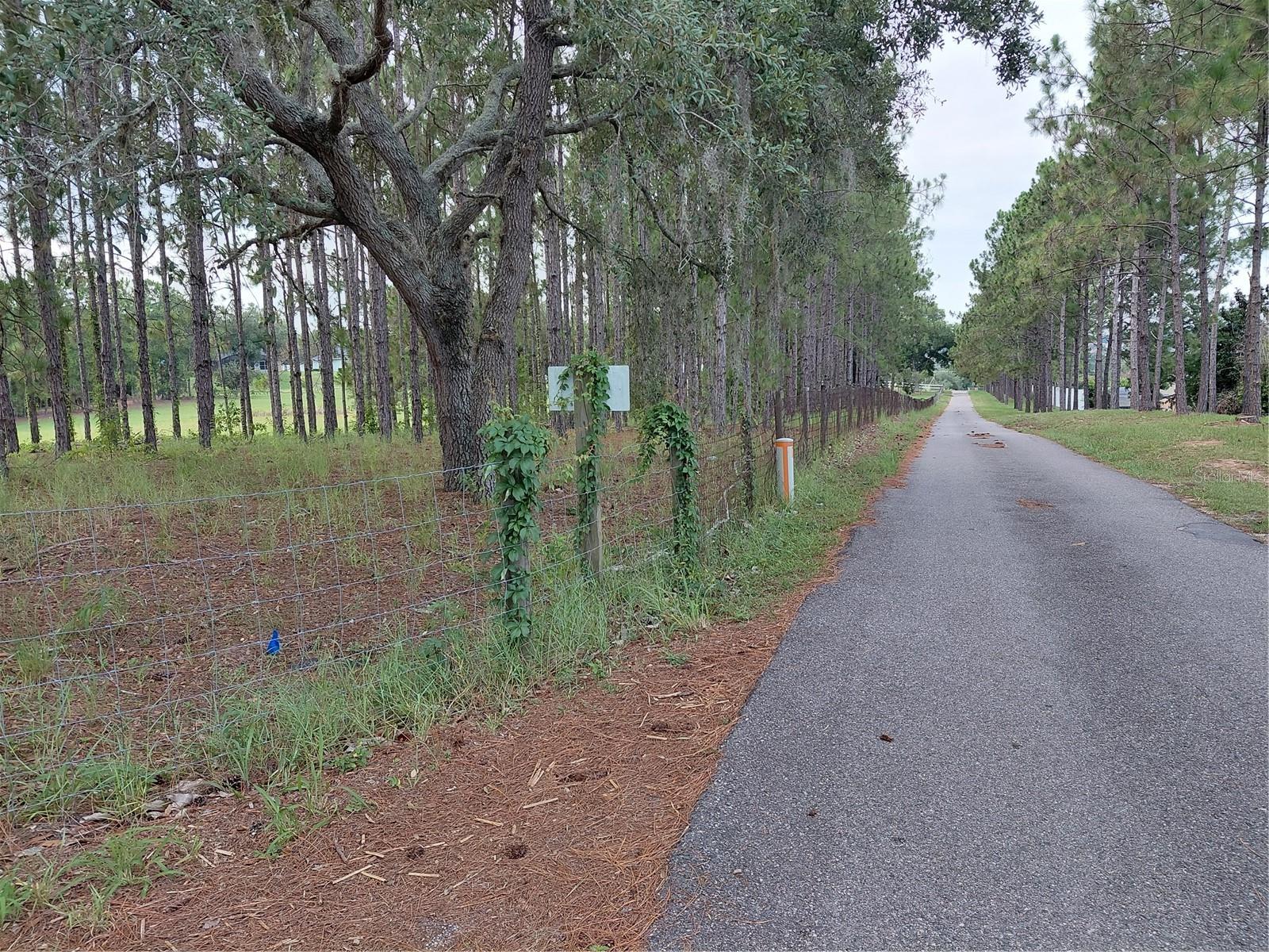 14240 Lost Lake Rd Property Photo 22