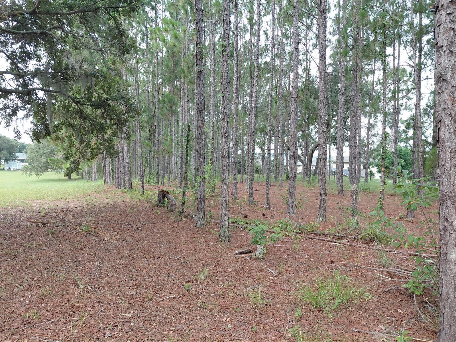14240 Lost Lake Rd Property Photo 23