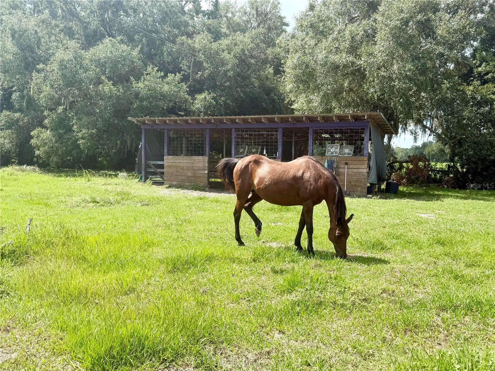 7589 Cr 763 Property Photo 44