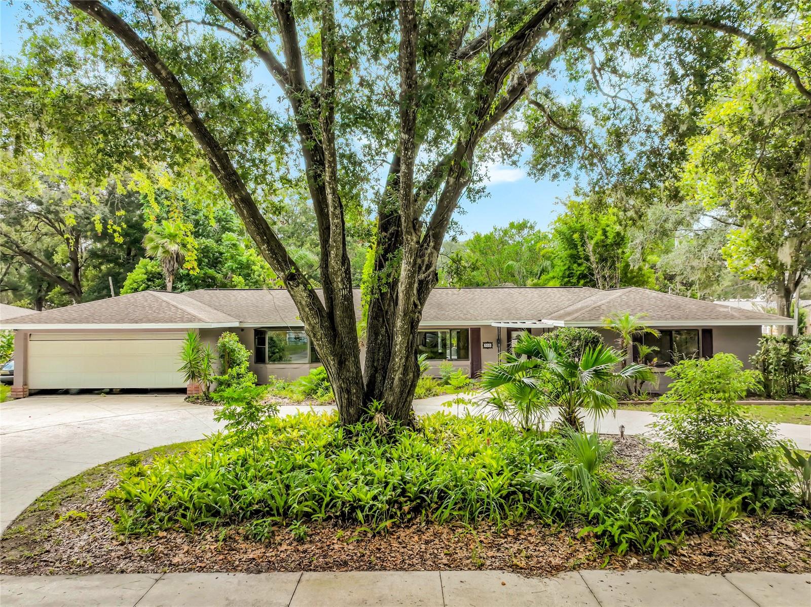 300 Pinecrest Rd Property Photo 2